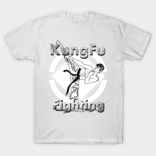 Kung Fu fighting sport T-Shirt